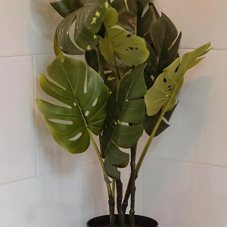 公寓 Modern Bright Spacious Flat 哈罗盖特